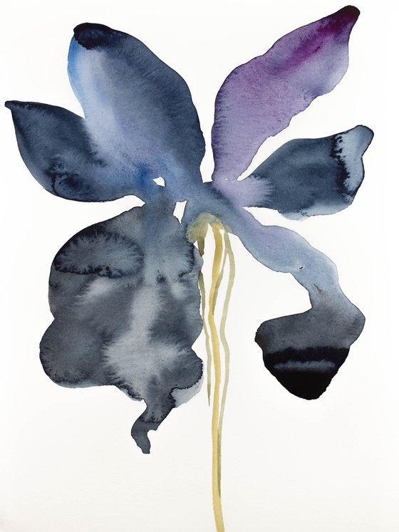 Iris No. 138