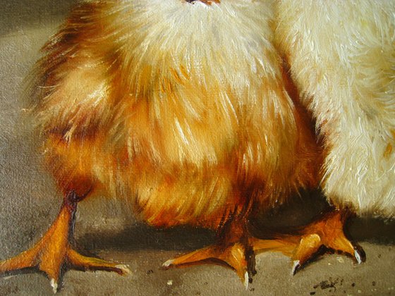Two Fluffy Chicks