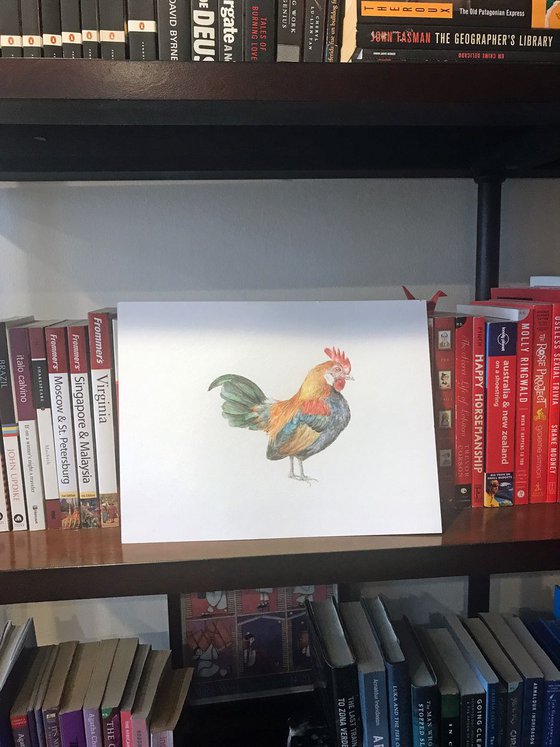 Rooster Original Watercolor Bird
