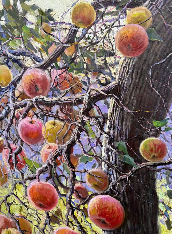 Apple Tree in Summer