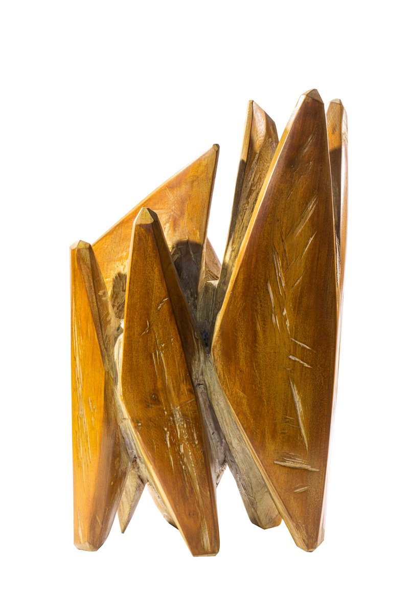Organic Abstract Wood Sculpture By George Troyanov, 11 X 17, Amber, Original Artwork