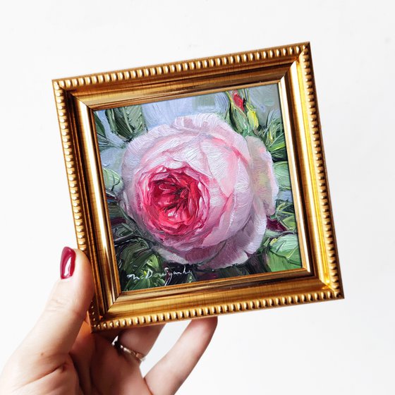 Pink rose