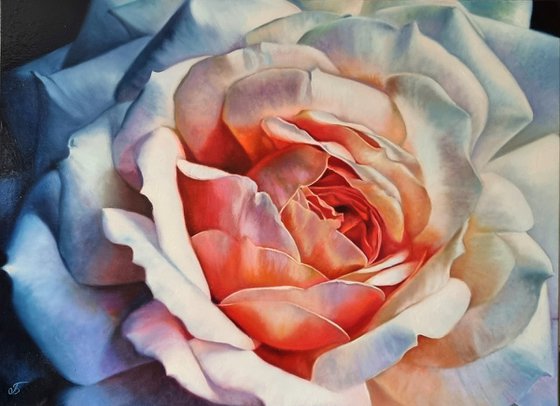 " Open your mind" rose  flower 2022