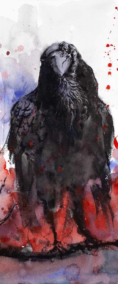 The Raven II by Tomasz Mikutel
