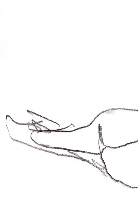 Study 11; Figure Drawing