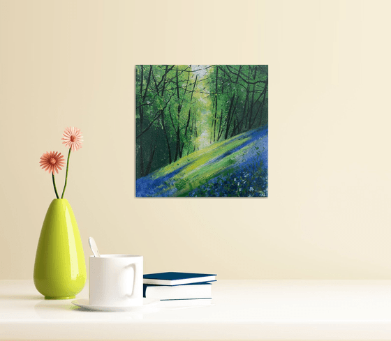 Light Across Bluebell Woods