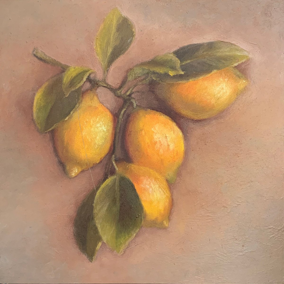Impressionistic Still Life Oil Painting By Alena Post, 12 X 12, Lemons, Original Artwork