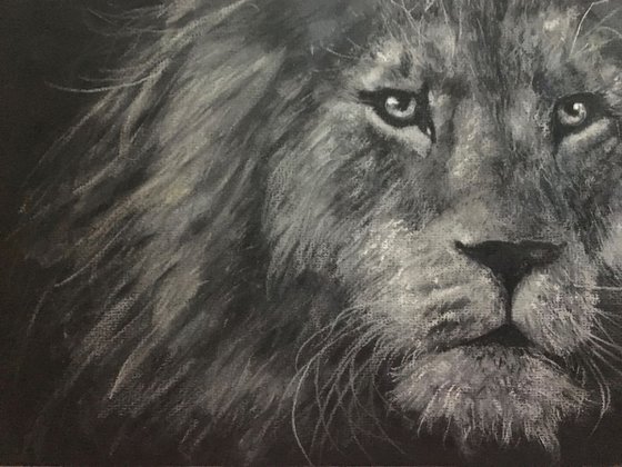 Lions Bad Hair Day  Black Grey and White Painting