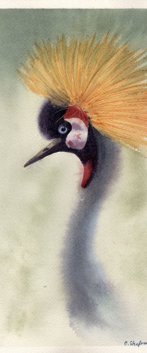Crowned Crane by Olga Tchefranov (Shefranov)