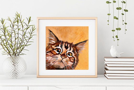 Tabby Cat