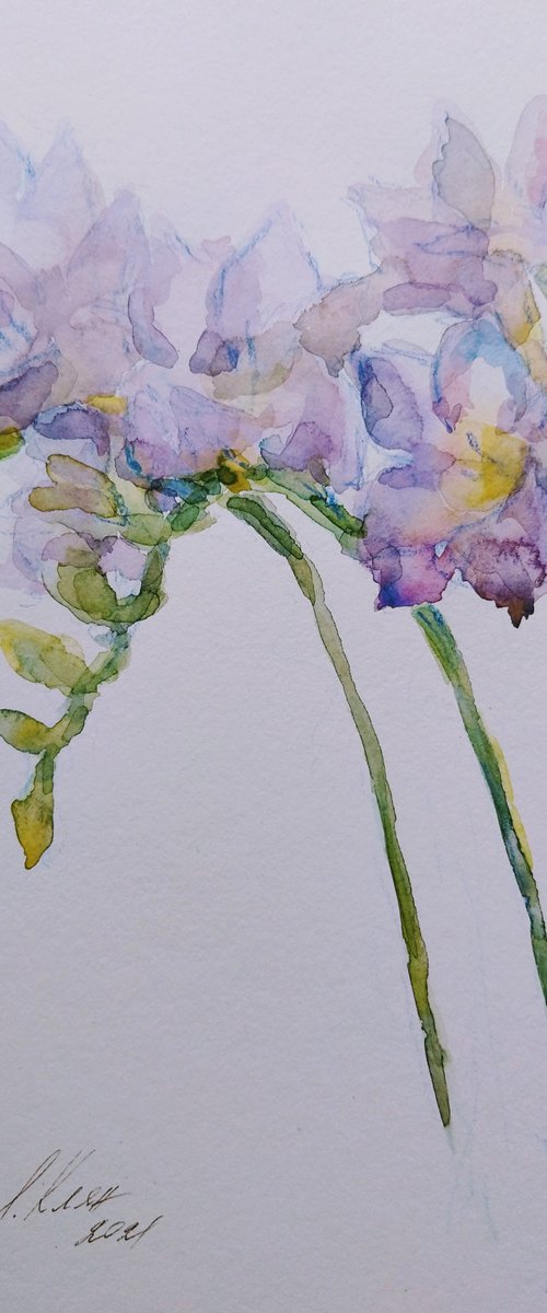 Freesias # 1 original watercolour painting. by Elena Klyan