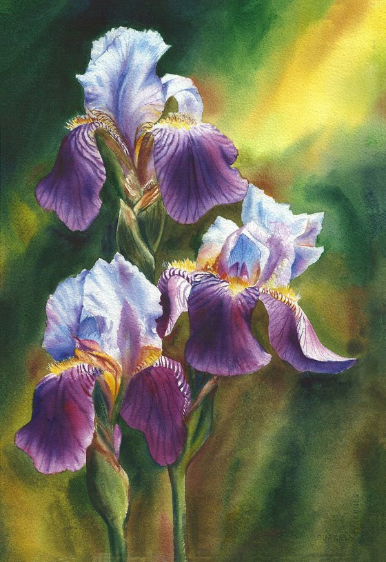 Sun In The Petals