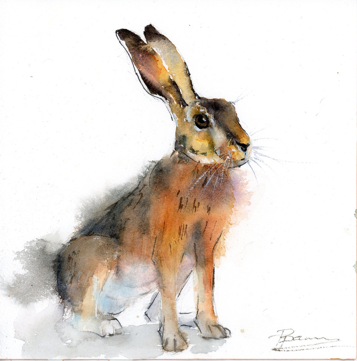 Expressive Animal Drawing By Olga Tchefranov (Shefranov), 8 X 8", Golden Hare, Original Artwork