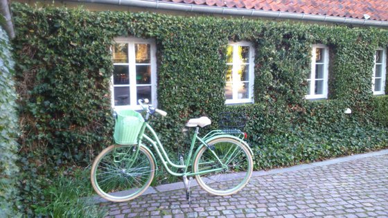 GREEN HOUSE IN DENMARK