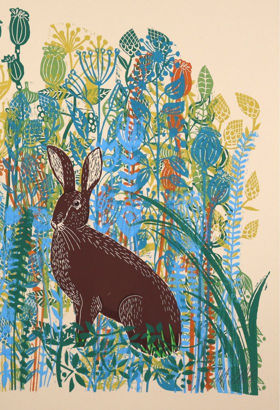 Hares in Meadow