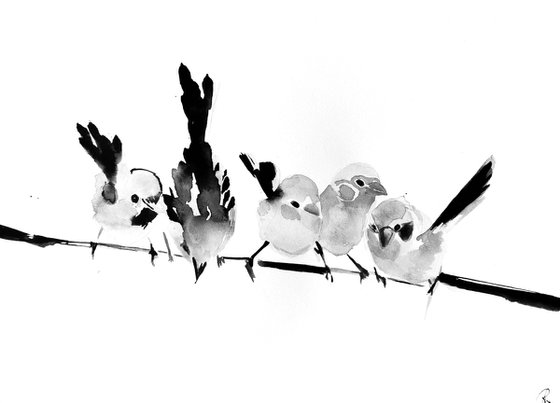 Birds