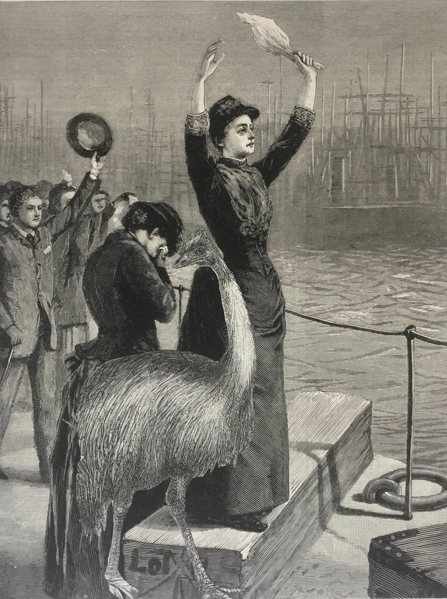 Surrealistic Portrait Collage By Tudor Evans, 6 X 8", The Comfort Of An Emu, Original Artwork