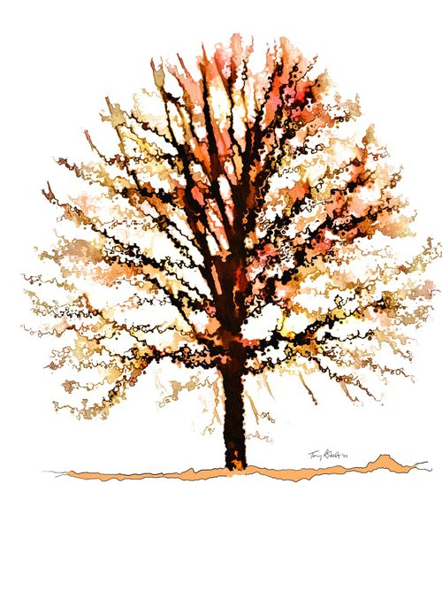 Winter oak by Tony Roberts