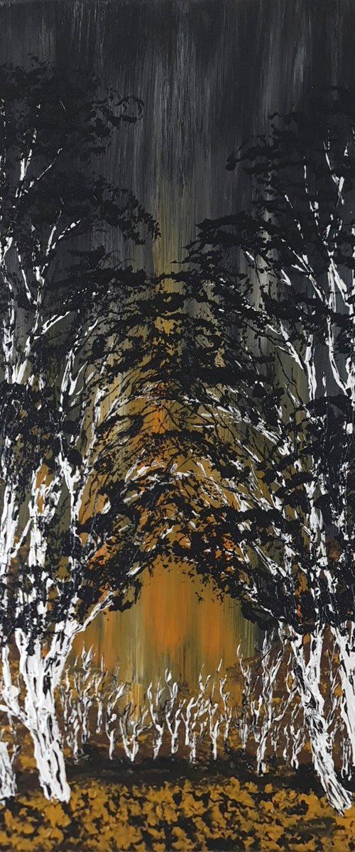 Birch Eclipse by Daniel Urbaník