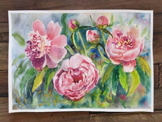 Peony flowers