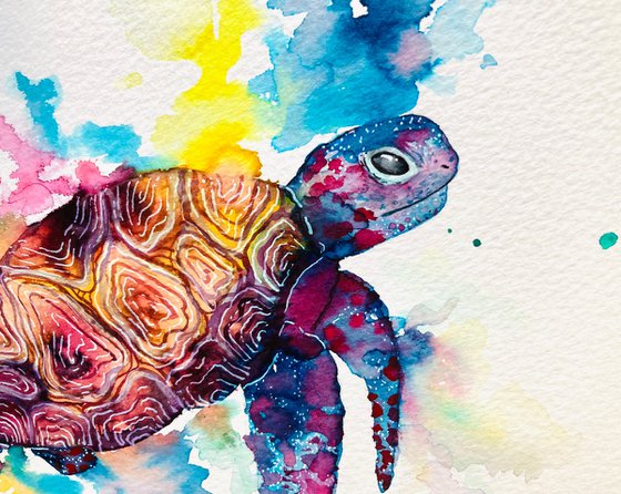 Framed Watercolour Turtle