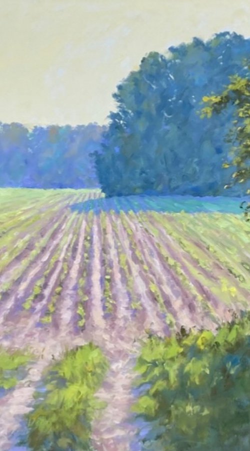 New Field by Thomas Wilson