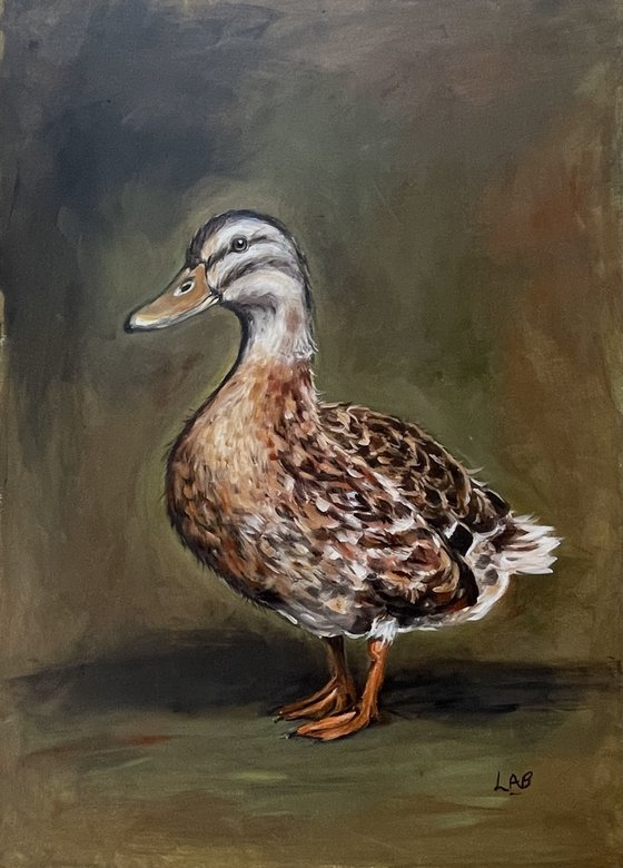 Dolly Duck