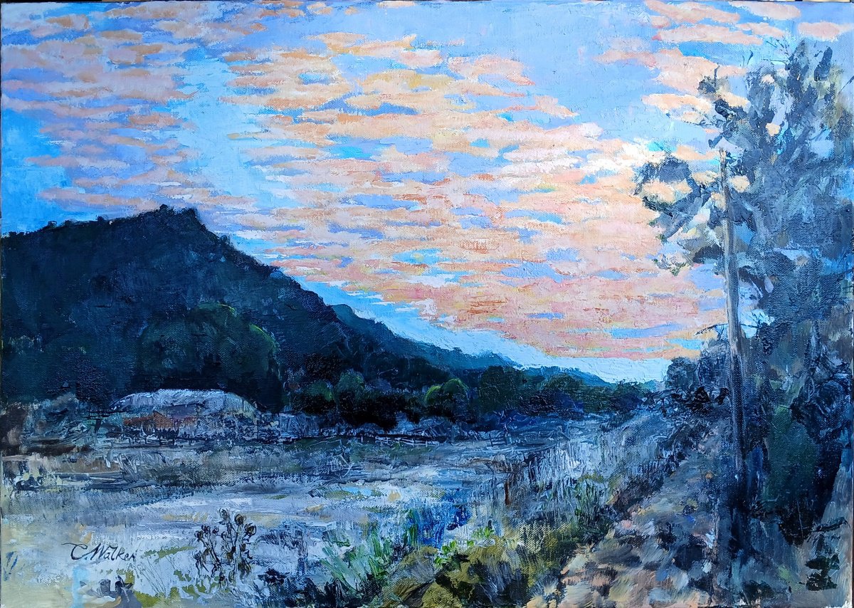 Organic Landscape Oil Painting By Chris Walker, 28 X 20, Morning Light, Original Artwork