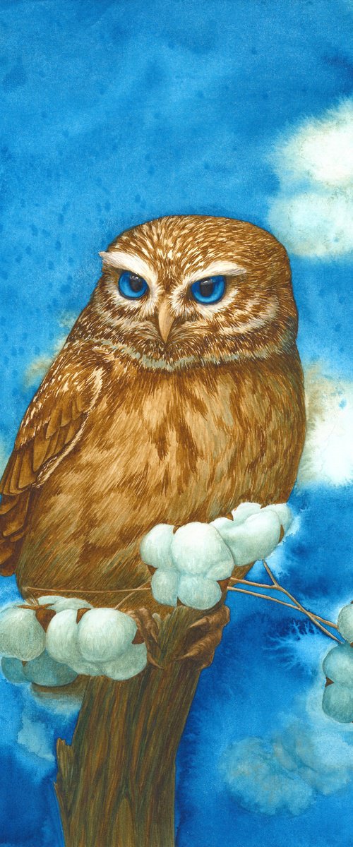 Owl with cotton by Karina Danylchuk