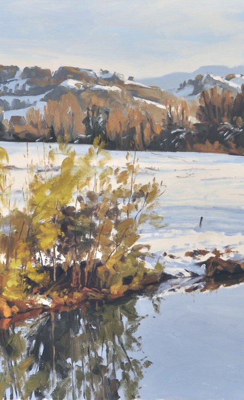 November 15, snow on the banks of the Loire river by ANNE BAUDEQUIN