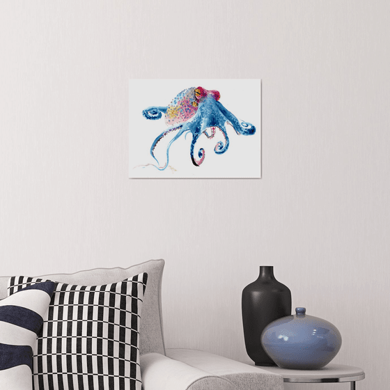 Colorful Octopus