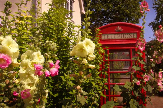 Floral Telephone Box