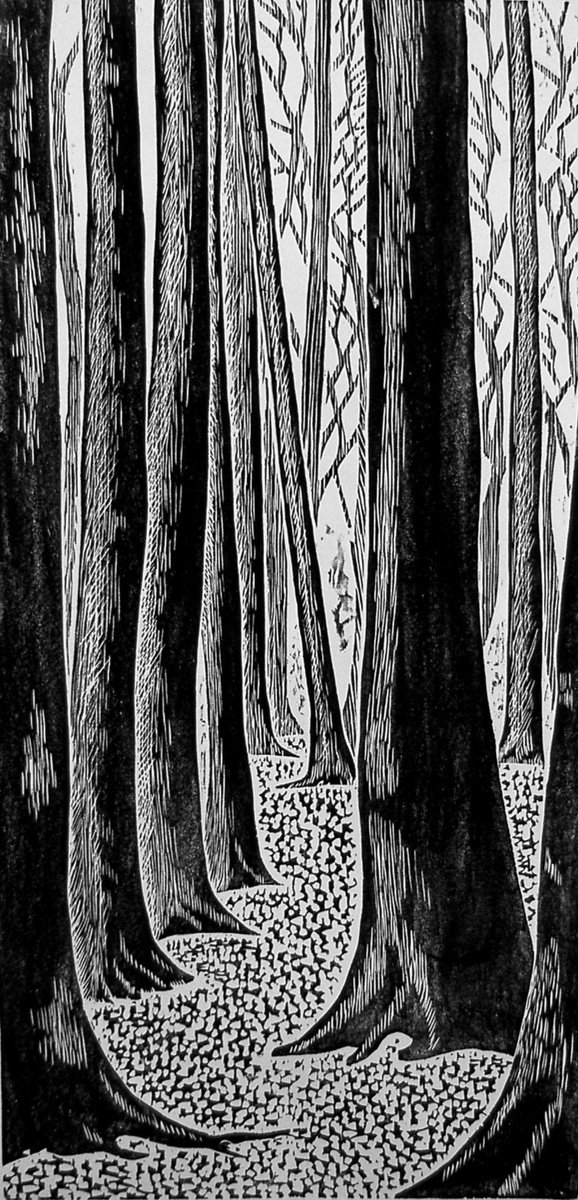 Eucalyptus grove by Sergei Monin