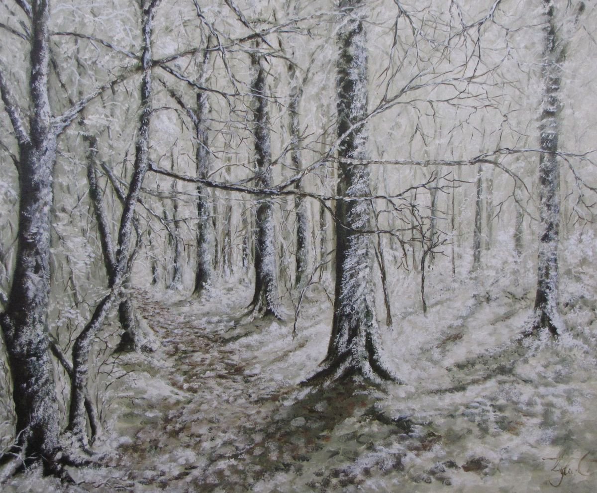 Beech Trees in snow by Christine Gaut