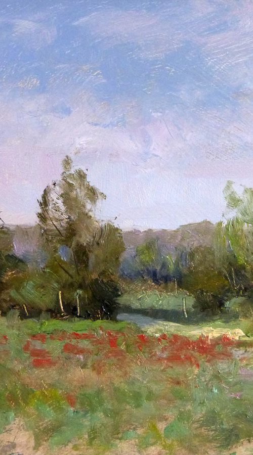Poppies in Provence by Pascal Giroud
