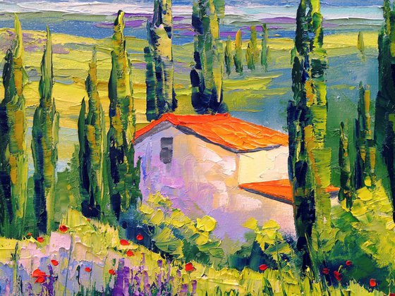 House in Provence