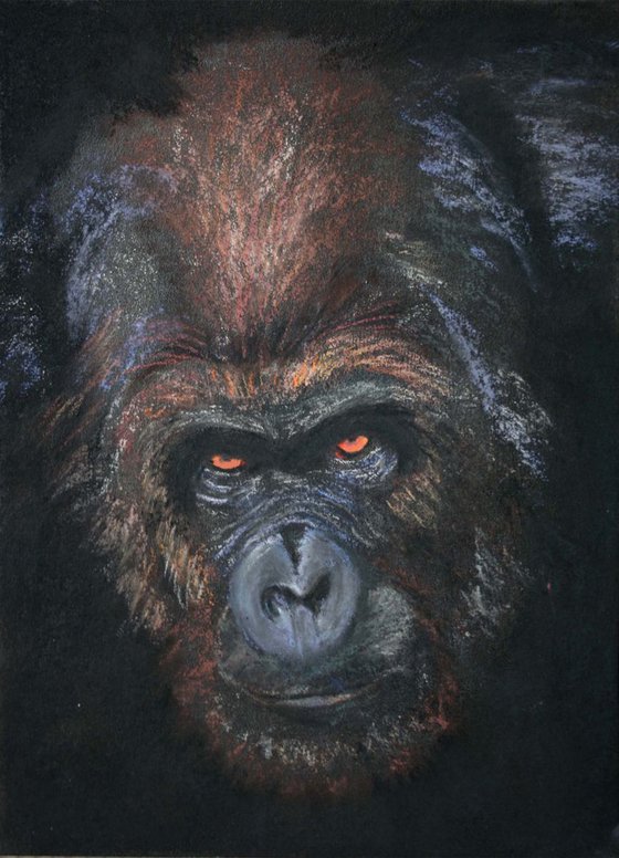 Gorilla