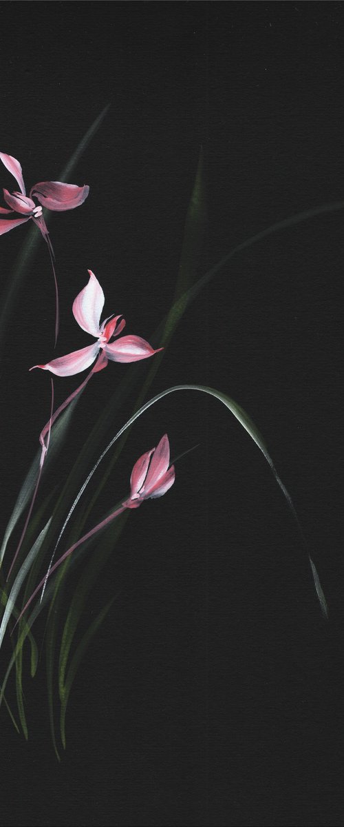 Rose Moon Orchid by Hai Doan
