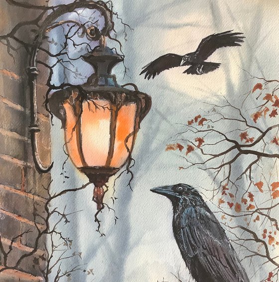 The Ravens
