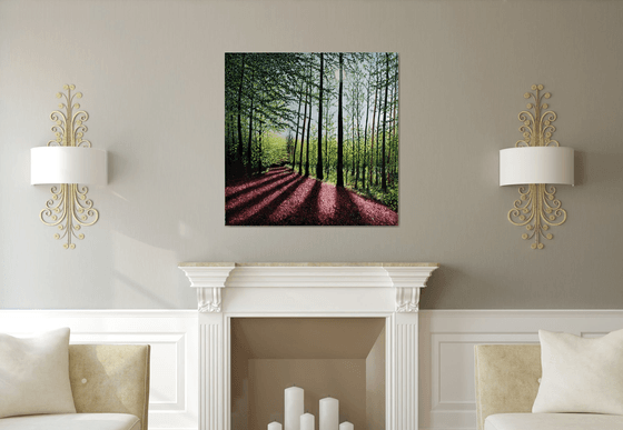 Shadows Across the Forest Floor