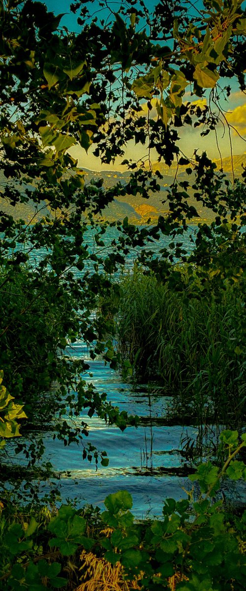 Lake by Nektaria Thalia