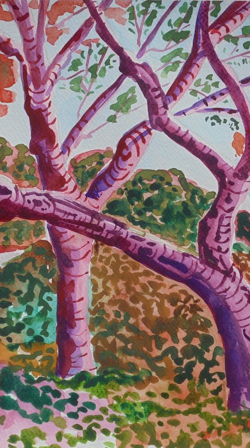 Woodland at Park Güell by Kirsty Wain