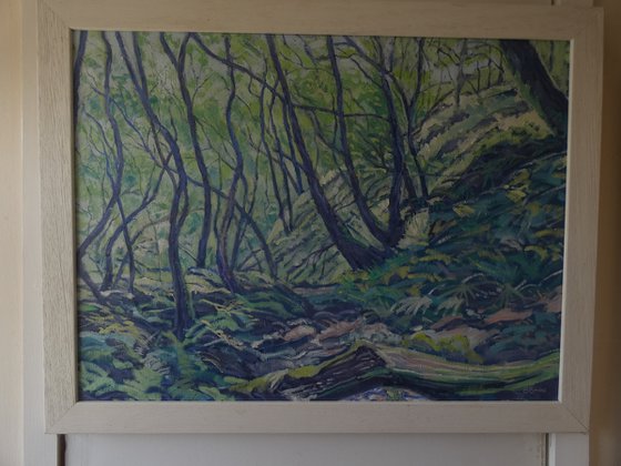 At the Moor Brook, Dartmoor