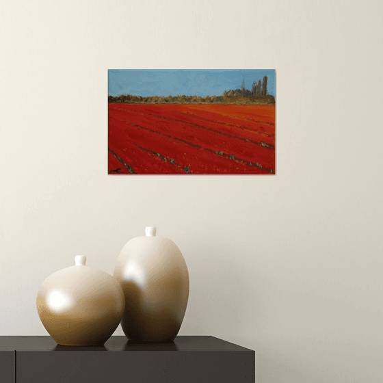 Tulip fields 2019