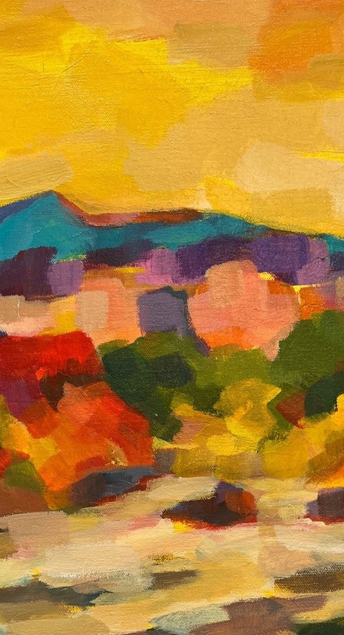 Sonoran View by Silvia  Vassileva