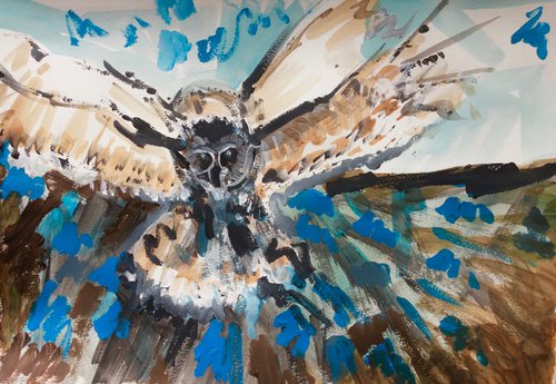 Owl hoot by Jeffery Richards