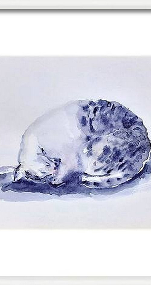 Curled up sleeping Cat by Asha Shenoy