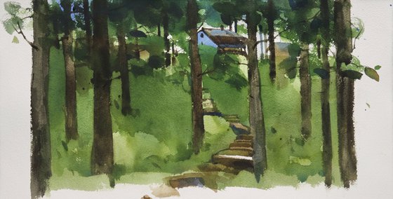 Observes & thinks of landscape