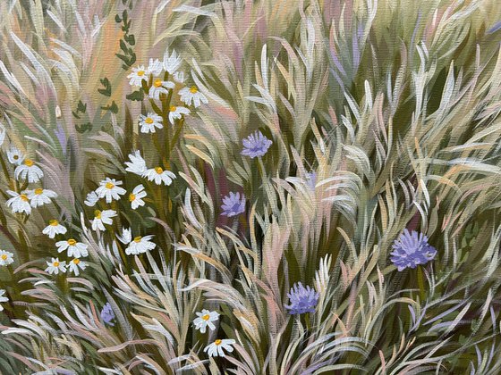 Meadow with Chamomile