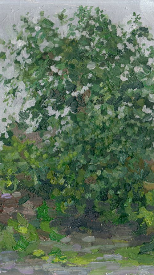 Bush by Simon Kozhin